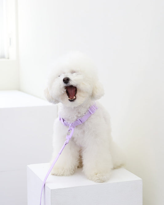 Macaron Comfort Harness . Lavender